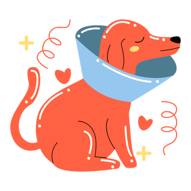 Veterinary care